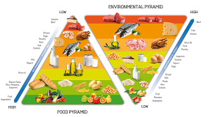 Food Pyramid Archives - Hispanic Food Communications Inc.